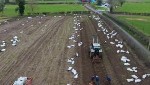Carlow features in this week's Ear to the Ground as part of an investigation