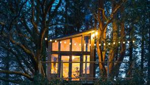 PICTURES: Fancy sleeping under the stars ? Look inside this adult only Donegal Treehouse!
