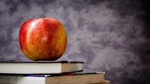 Department of Education grant just 20% of applications from schools in Carlow for funding