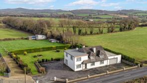 This seven-bed Carlow property offers ample space for potential buyers