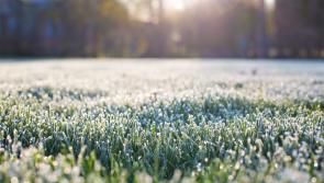 WEATHER: Frost and ice in Carlow with potential rain on the horizon 