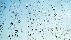 Carlow Weather: Dull and misty start with outbreaks of rain