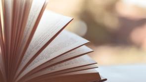 Two novels by Irish authors shortlisted for the 2024 Dublin Literacy award