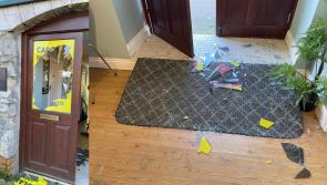TD vows to continue 'undeterred' after attack on constituency office