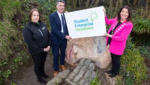 Carlow students set to shine in county final of Student Enterprise Awards
