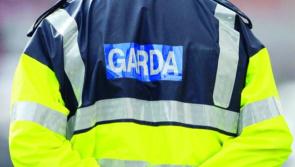 Three arrested following searches in two counties as gardaí target human trafficking gang  