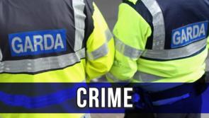 Man in Carlow arrested in relation to €1.25 million Cannabis drug bust 
