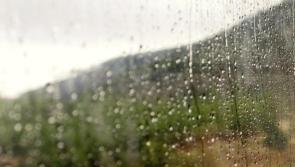 WEATHER: 'Outbreaks of rain and drizzle moving' Wet weather set to move into Carlow
