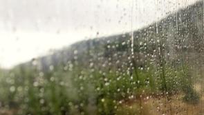'Outbreaks of rain and drizzle' Met Éireann provided another disappointing Carlow forecast