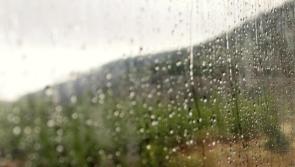 WEATHER: 'Largely dry, patches of drizzle and mist' Carlow weather forecast