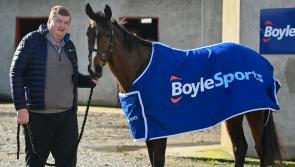 Carlow based trainer's son rides huge odds winner just days before Cheltenham 
