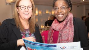 Family Resource Centres in Carlow calls for long-term funding for proven therapeutic services