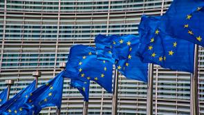 Former Carlow TD now MEP calls for Valerie's Law in Ireland