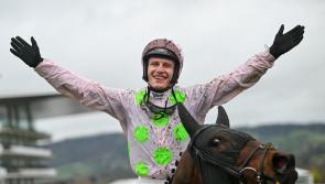 Carlow trained horse wins at Cheltenham day one