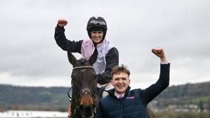 How will she do? Cheltenham day 2, Carlow based jockey preview 