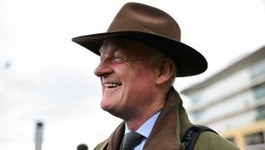 Veteran Carlow based trainer becomes first trainer to reach 100 race wins at Cheltenham
