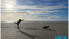 Spending quality time with your dog can cut your stress and anxiety 