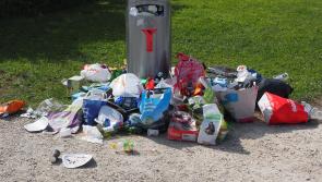 Carlow councillor lashes out at 'takeaway boxes' amidst concerns over littering