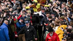 Legendary Carlow horse set for homecoming following back-to-back Cheltenham Gold Cup wins