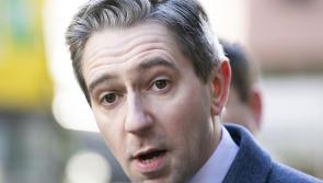 Taoiseach Simon Harris and Spanish Prime Minister discuss recognition of Palestinian state