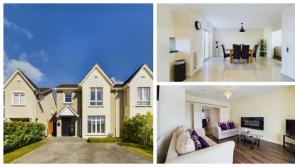 PICTURES: Gorgeous modern interior home for sale located in Carlow Town 