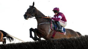 Irish Grand National Tips: 16/1 shot could win the Fairyhouse showpiece