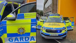 WATCH: Gardaí join the festivities at car meet-up charity event