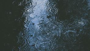 WEATHER: 'Breezy and wet' As Carlow goes to the polls this weekend