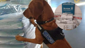 Detector dog leads Revenue officers to huge cannabis haul worth almost €500,000