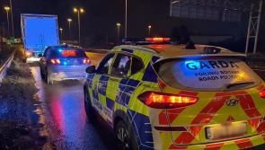 Driver serving 10-year disqualification arrested and truck seized as gardaí clean up N7