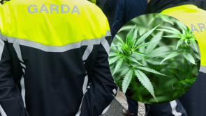 Gardaí find €700k worth of cannabis at growhouse in sleepy Roscommon village
