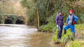 Project launched to enhance water quality in well-known Carlow river 