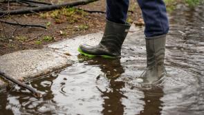Carlow Farmers need to be prepared for Retirement Relief Changes says ifac