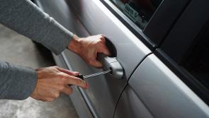 Gardaí investigate a spate of car crimes by a lone male across Carlow Town 