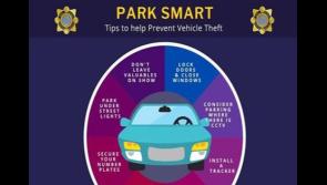 Carlow Gardaí have issued appeal following increase of vehicle theft 