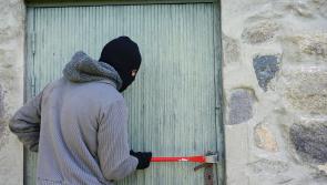 Carlow Gardaí investigate brazen early morning burglary by multiple men in Hacketstown 