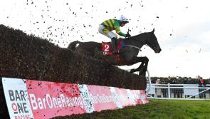 I Am Maximus and Willie Mullins set for Carlow homecoming following Grand National win