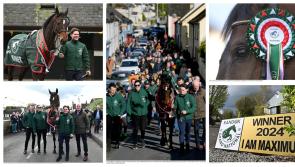 PICTURES: I Am Maximus and Willie Mullins parade through Carlow to a huge crowd