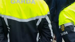 Man (30s) arrested in connection with gangland shooting of man at Dublin home