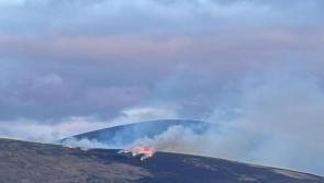 Another series of fires break out on Mount Lenister, Bagenalstown Fire Brigade on the scene
