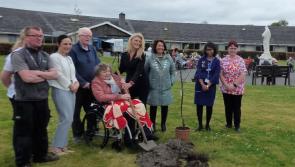 Apple Trees planted in Sacred Heart Hospital Carlow to mark Earth Day