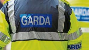 Gardaí appeal for witnesses after alleged assault of a man in his 70s
