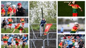 PICTURES: Carlow hurlers give good account of themselves, narrowly miss out against Dublin