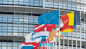 Just one Carlow-based candidate to contest European elections in Ireland South