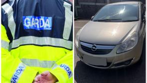 Disqualified driver who was 'trying to dodge' gardaí arrested and car seized