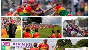 PICTURES:  Carlow hurlers miss out against Wexford in sun soaked Netwatch Cullen Park