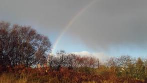 ALERT: Carlow added to yellow weather warning for thunderstorms 