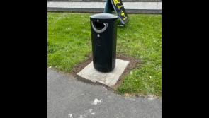 Carlow Councillor shares images of new bins on busy Carlow Town road
