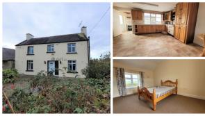 PICTURES: Farm home for rent in County Carlow for €1,400 per month 