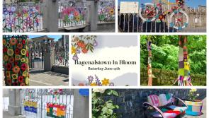 WHAT'S ON: Creative workshops, music, and colour everywhere in this local Carlow Town
 
